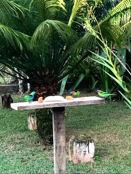 Villa Itamambuca A Beira Mar Com Piscina à Ubatuba Extérieur photo